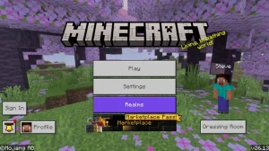 Minecraft 1.26.1