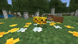 Minecraft 1.26.1