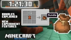 Minecraft 1.21.3