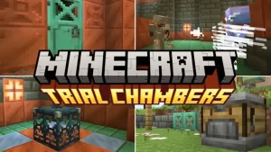 Minecraft 1.21.114